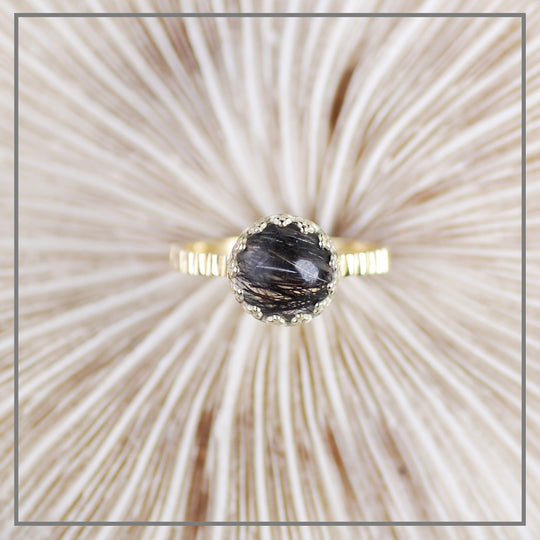 Haarlokring Emi Veritatem